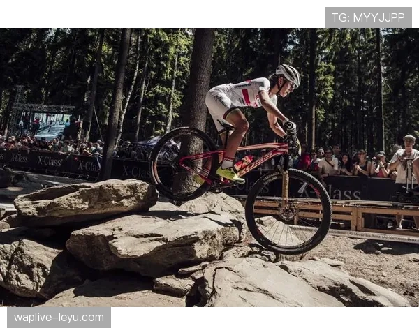 捷克队世界杯征程：重温辉煌经典，展望未来新篇章