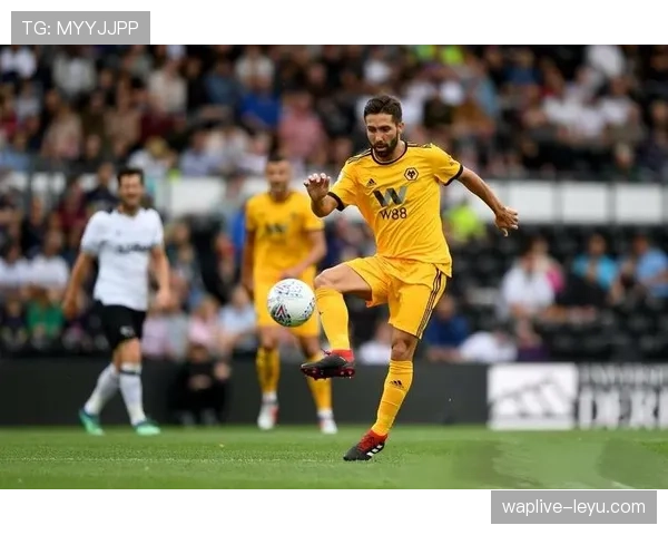 狼队新星闪耀赛场，状态回升助球队斩获关键胜利