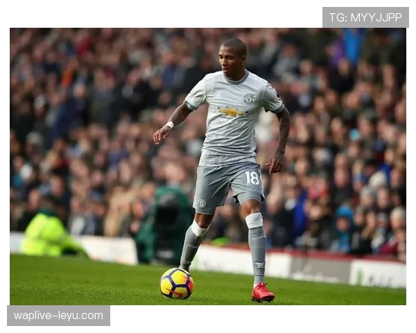 阿什利·扬战术适配性解析 阿什利·扬战术适配性解析